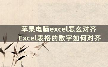 苹果电脑excel怎么对齐 Excel表格的数字如何对齐